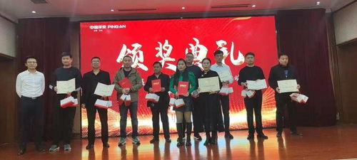 黨建引領科技賦能，山東保險中介業以智慧服務護航社會民生